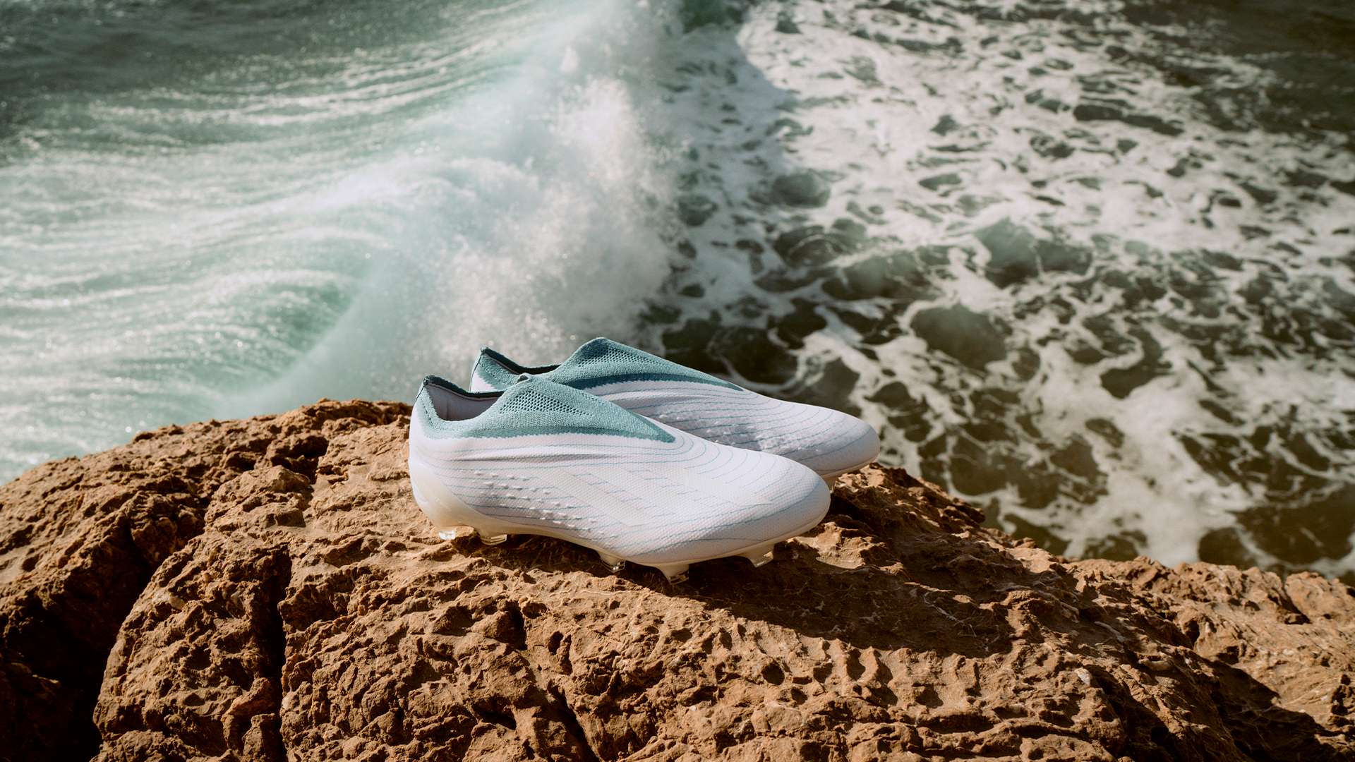 不僅展現了 不僅展現了