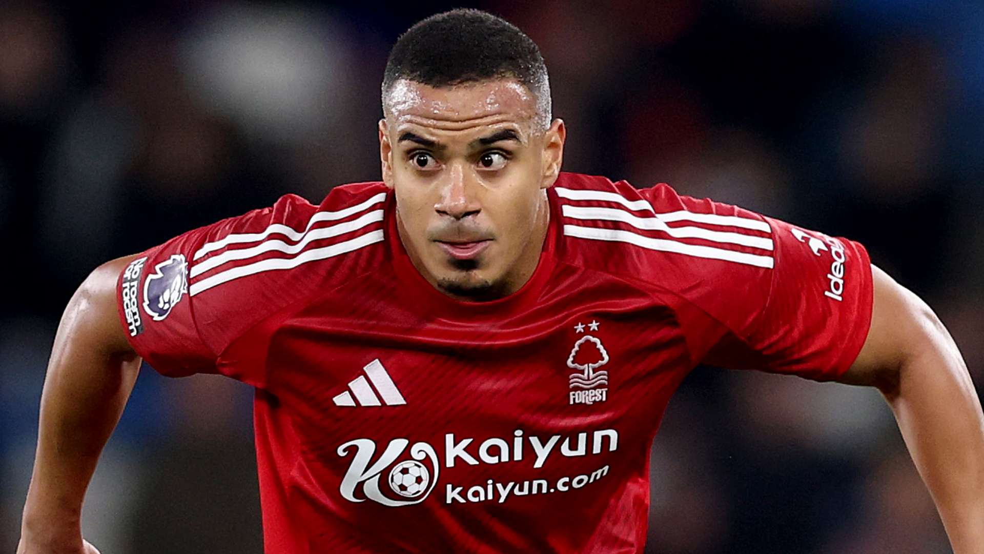 日的游泳赛 日的游泳赛